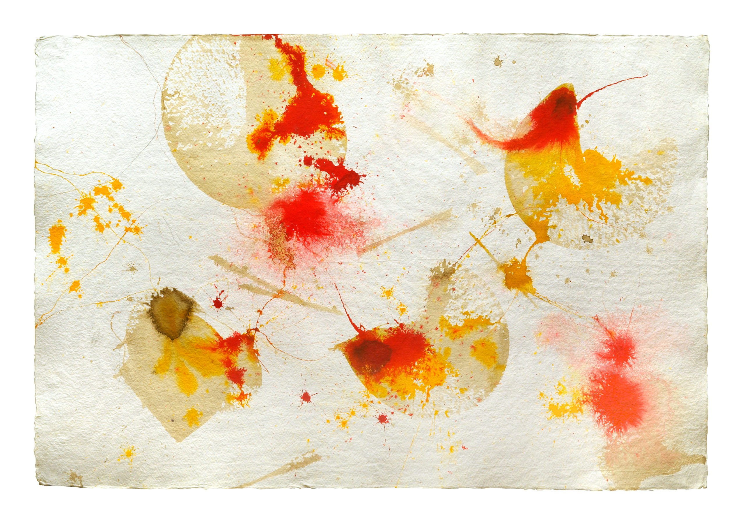 Bild: „Leicht-Kreis-Weiß 2“