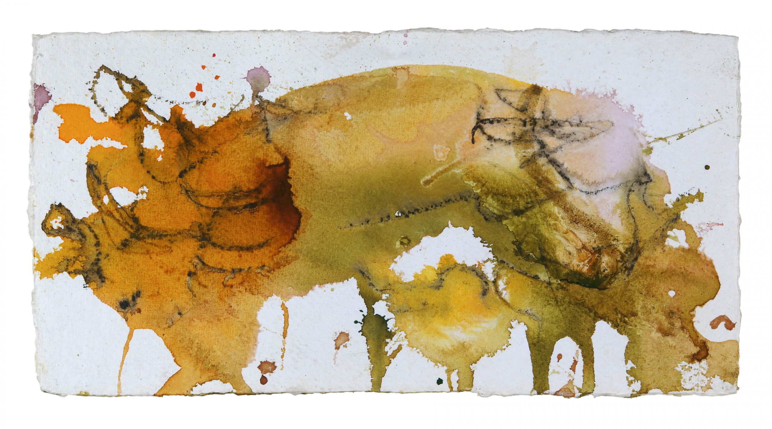 Bild: „Das Schwein“